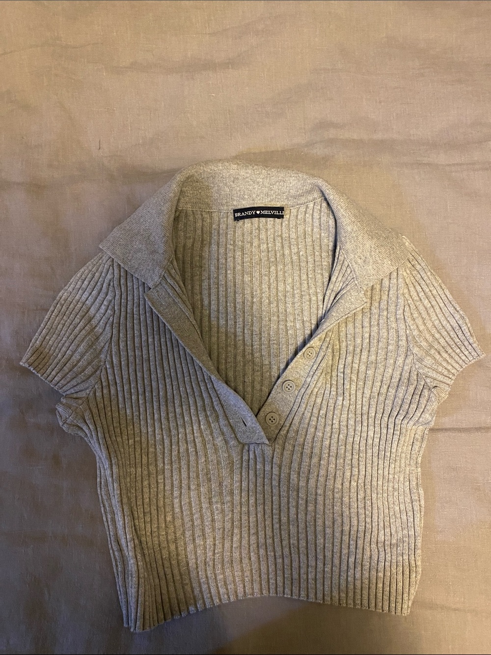 Brandy Melville Heather Gray Ribbed Polo Crop Top
